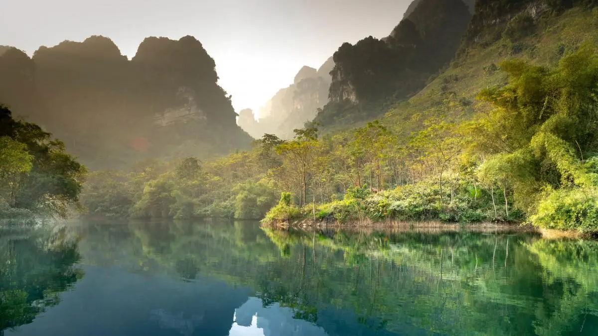 高效高性能智能系统